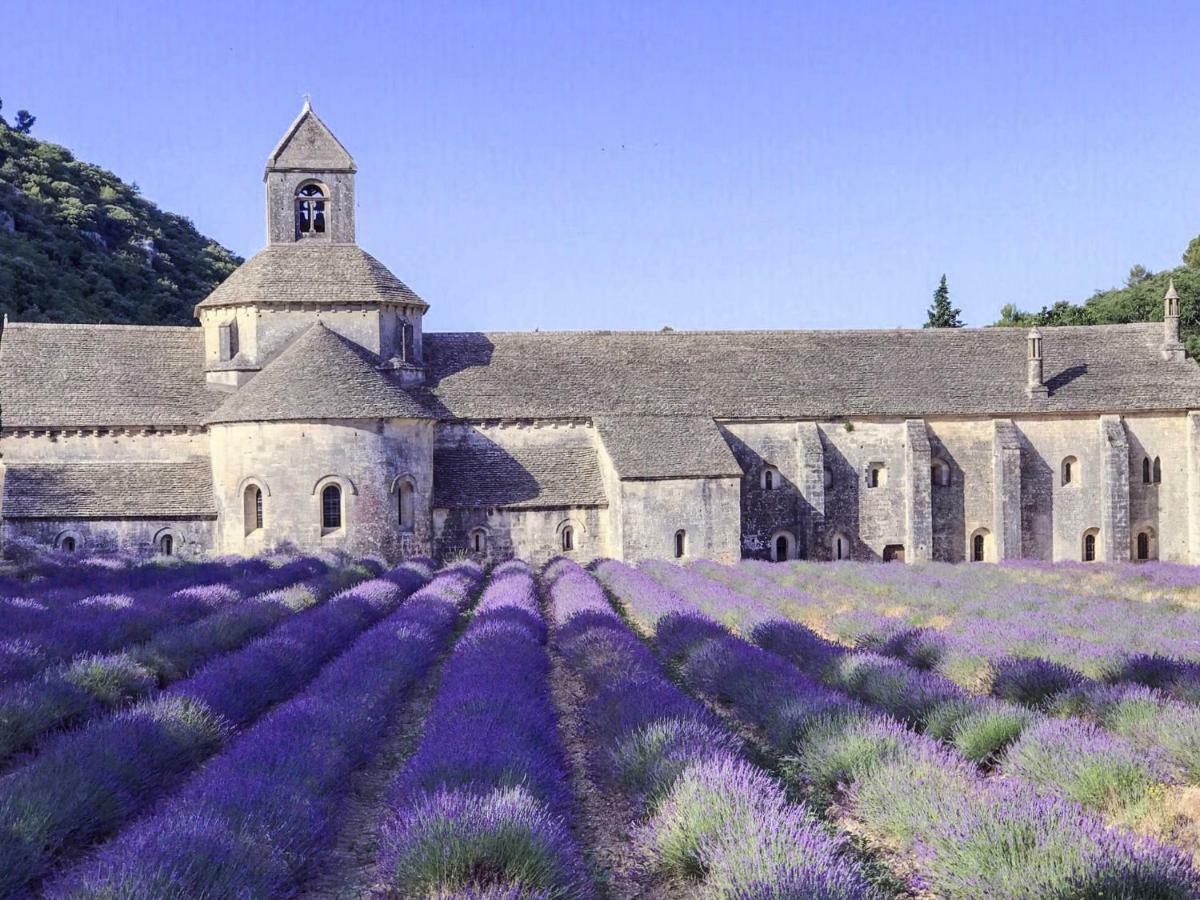 Domaine De La Brave Bed & Breakfast Pernes-les-Fontaines Exterior photo